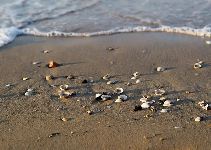 Spacious Seaview With A Big Terrace